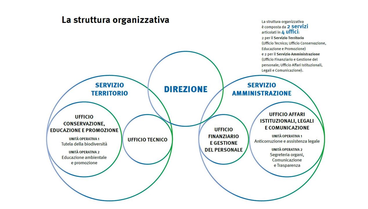 struttura organizzativa