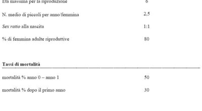 La reintroduzione della Lepre italica