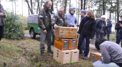 SPOT VIDEO Progetto Conservazione Lepre Italica