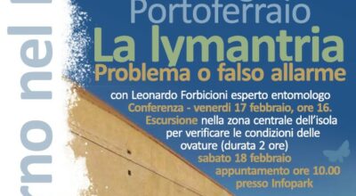 Citizen Science La Lymantria: problema o falso allarme?