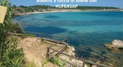 A caccia delle aliene Bioblitz nei parchi italiani. Si inizia dall’Arcipelago toscano il 16 marzo 2019