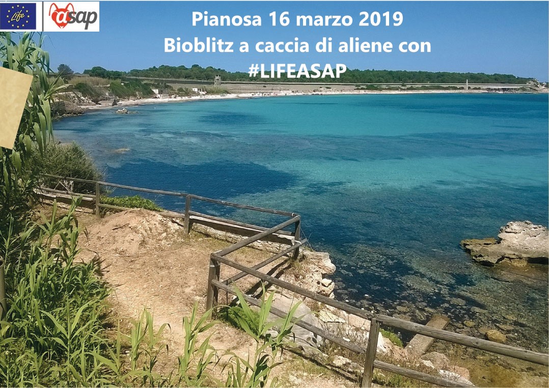 A caccia delle aliene Bioblitz nei parchi italiani. Si inizia dall’Arcipelago toscano il 16 marzo 2019