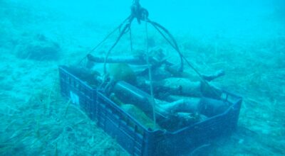 Isola di Giannutri, sub volontari puliscono i fondali grazie al Progetto GIREPAM