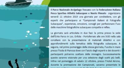 Progetto Neptune Campionato Italiano FOTO SUB Pianosa 2019