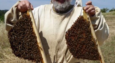 La Natura delle api (conferenza on-line di Paolo Fontana, WBA)