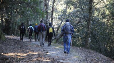 Gli interventi del Parco nel Comune di Marciana per il contenimento  degli ungulati