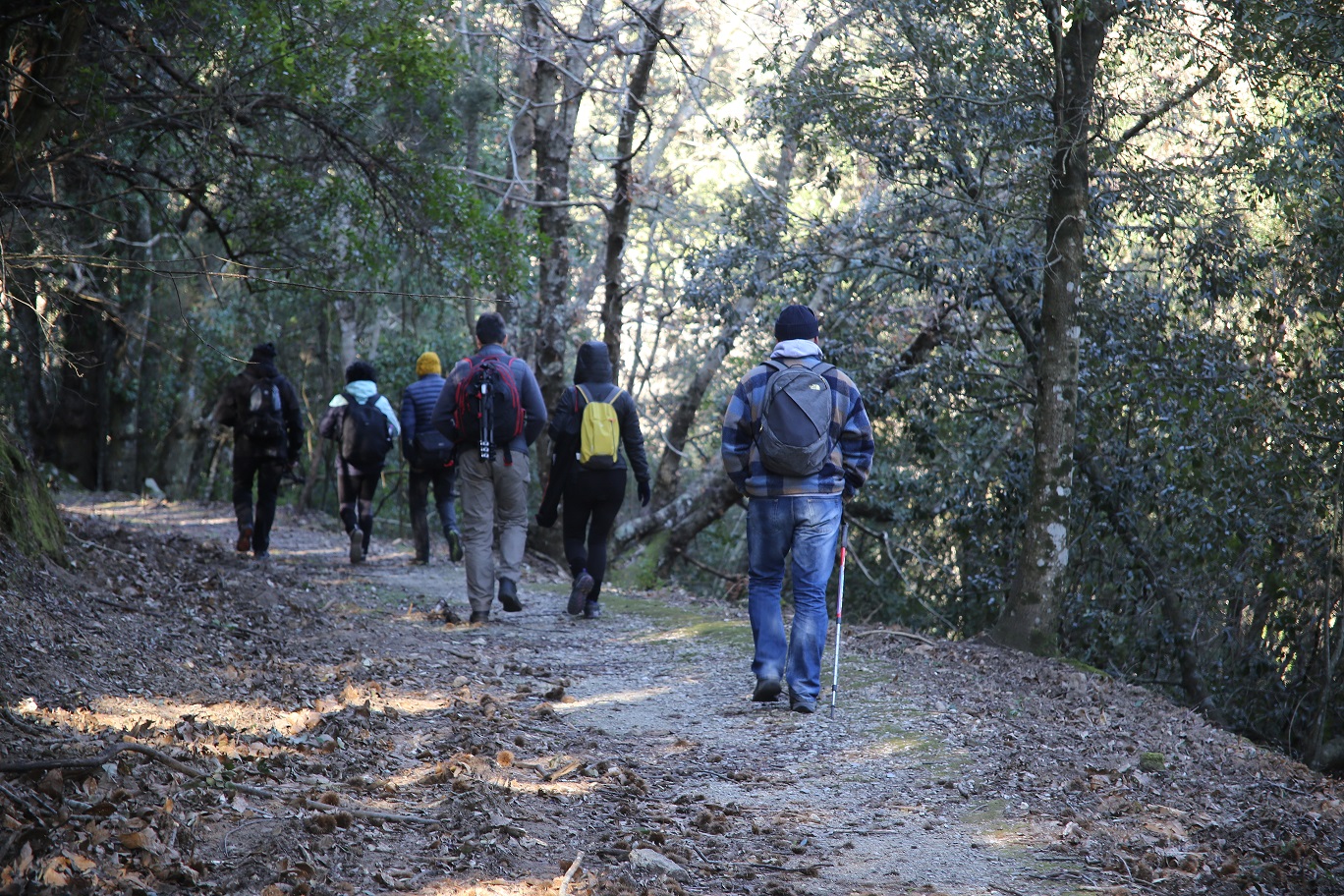 Gli interventi del Parco nel Comune di Marciana per il contenimento  degli ungulati