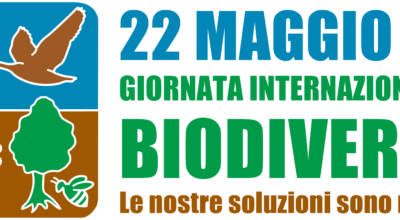 Giornata internazionale della biodiversità: il Nat-Lab ( Video )