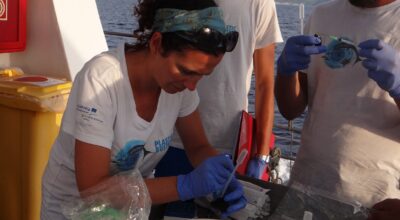 Plastic Busters MPAs al lavoro nell’Arcipelago Toscano per il campionamento del marine litter