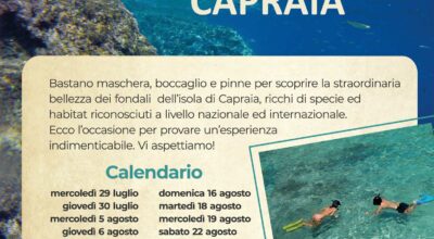 Snorkeling  con il progetto Interreg Neptune all’Isola di Capraia