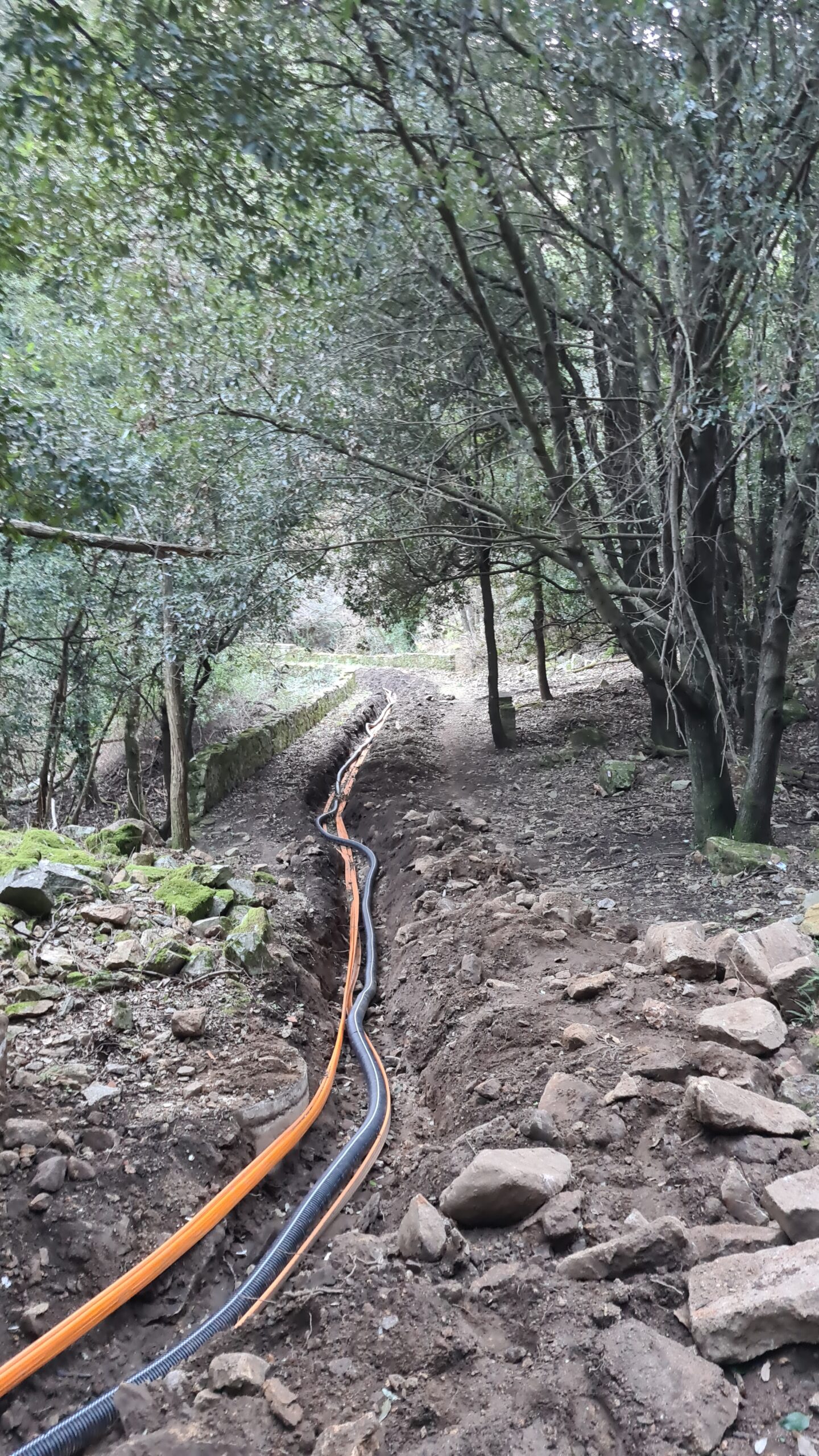 Primi provvedimenti dell’Ente Parco e del Comune di Marciana in merito ai lavori per la fibra ottica lungo il percorso del Rimercojo a Poggio