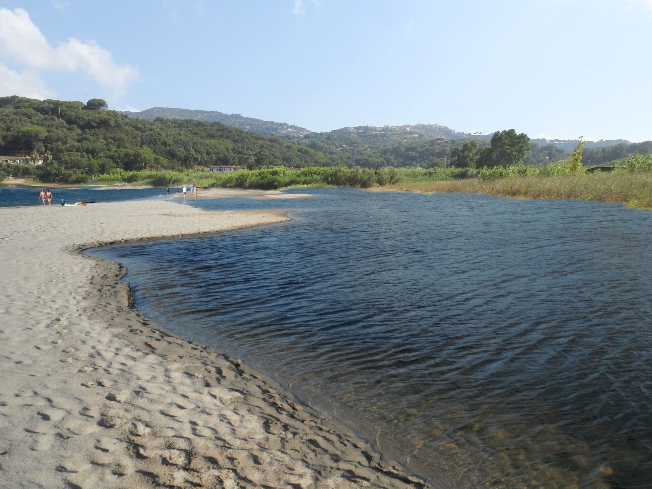 I nuovi interventi di riqualificazione della zona umida di Mola