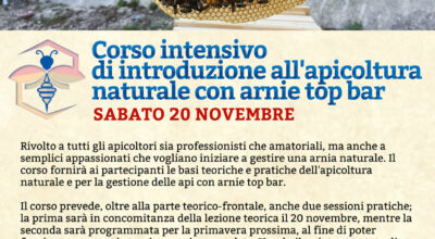 Corso intensivo  di introduzione all’apicoltura Naturale con arnie Top Bar