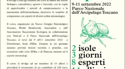 Summer school in Entomology nel Parco Nazionale Arcipelago Toscano