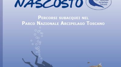 Guida ai percorsi subacquei del Parco Nazionale Arcipelago Toscano