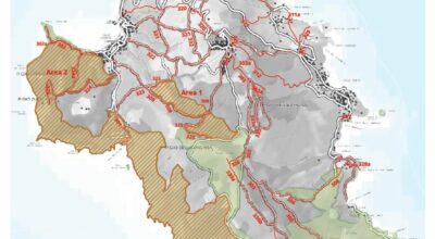 Isola del Giglio – nuova ordinanza del Parco Nazionale per garantire le attività di controllo del muflone all’interno dell’area protetta