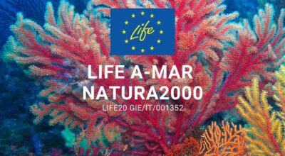 Il Parco Nazionale Arcipelago Toscano tra i protagonisti del progetto LIFE A_MAR Natura 2000 sui siti marini 