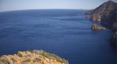 Potenziate le telecamere della video sorveglianza a Capraia Isola