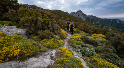 Programma Walking Festival e Settimana Europea dei Parchi 2023 all’Elba