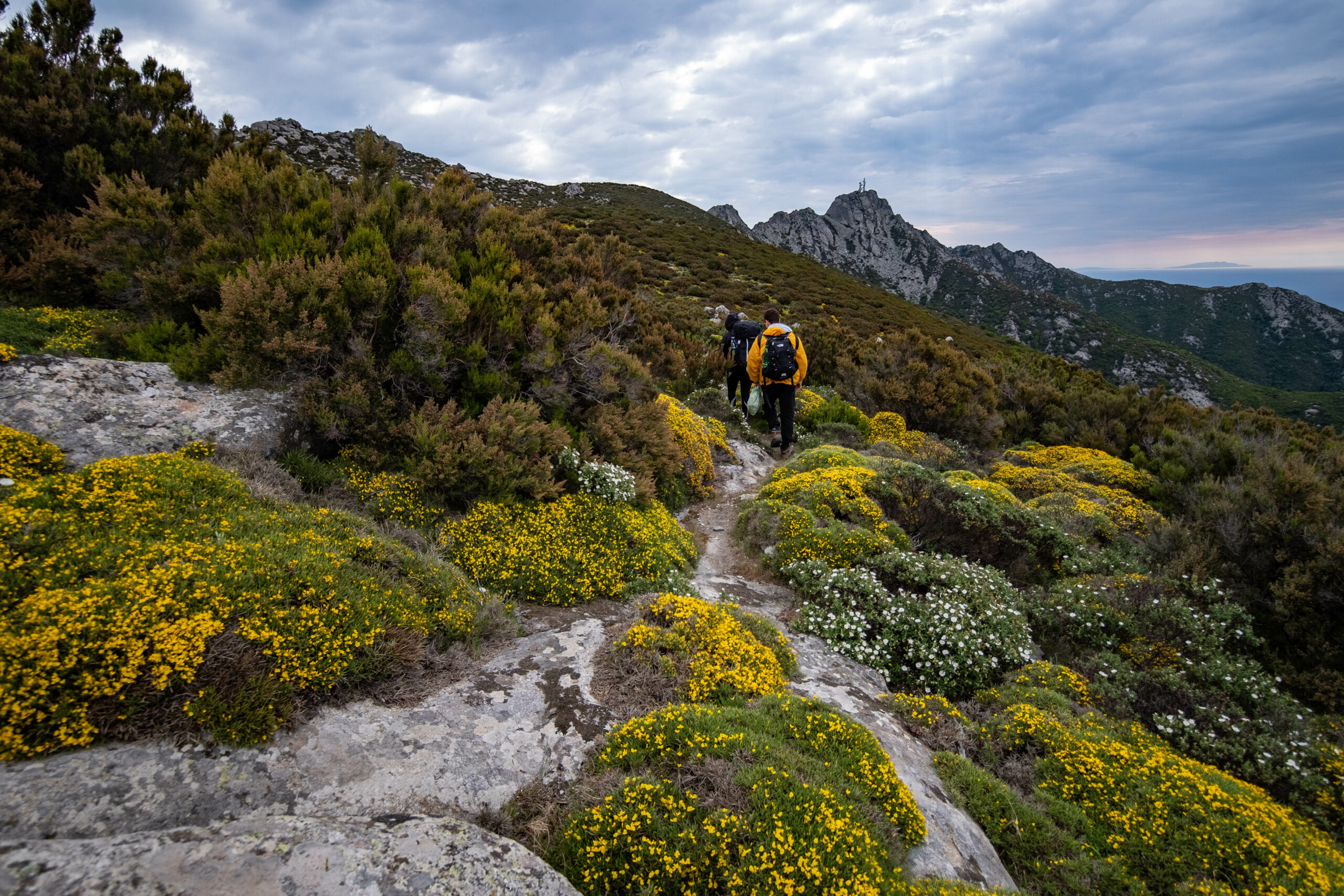 Programma Walking Festival e Settimana Europea dei Parchi 2023 all’Elba