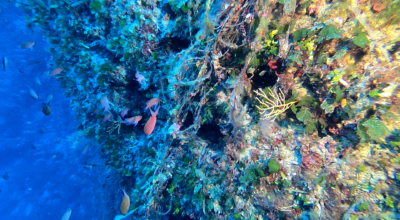 Operazione Mare Libero: recuperato oltre 1km di attrezzi da pesca  dall’Isola di Giannutri