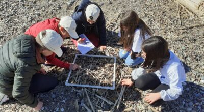 Bando “IoSonoAmbiente” nuovi finanziamenti per scuole di ogni ordine e grado