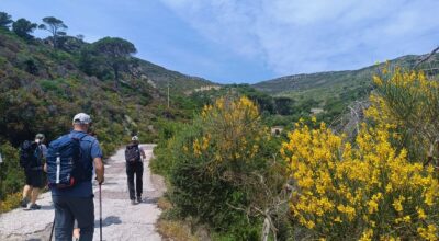 Sette nuove certificazioni per il turismo sostenibile nel Parco Nazionale Arcipelago Toscano: sono 2 capraiesi e 5 elbane le strutture ricettive certificate