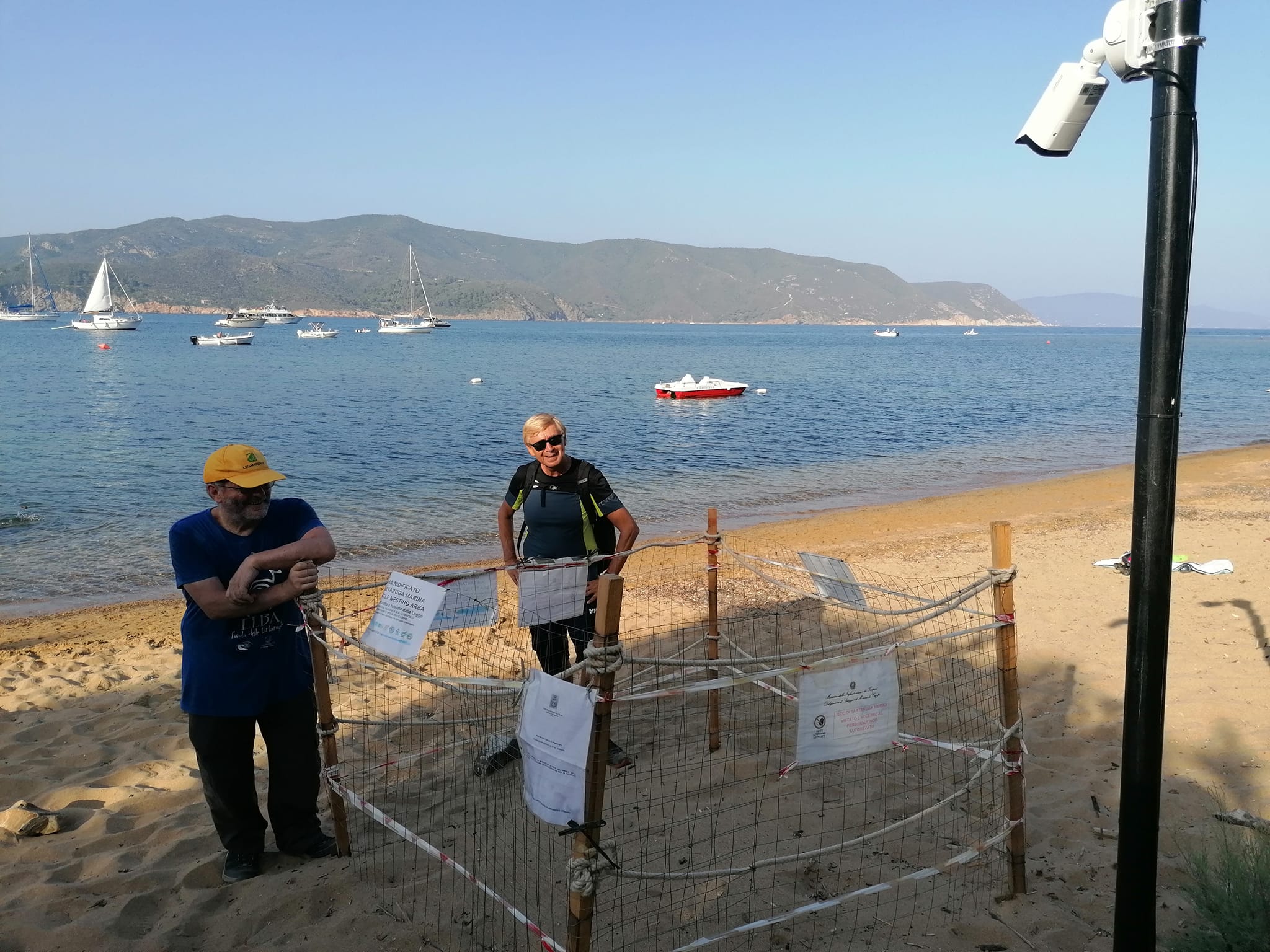 Tre dei cinque  nidi di Caretta Caretta all’Elba sono nel Parco