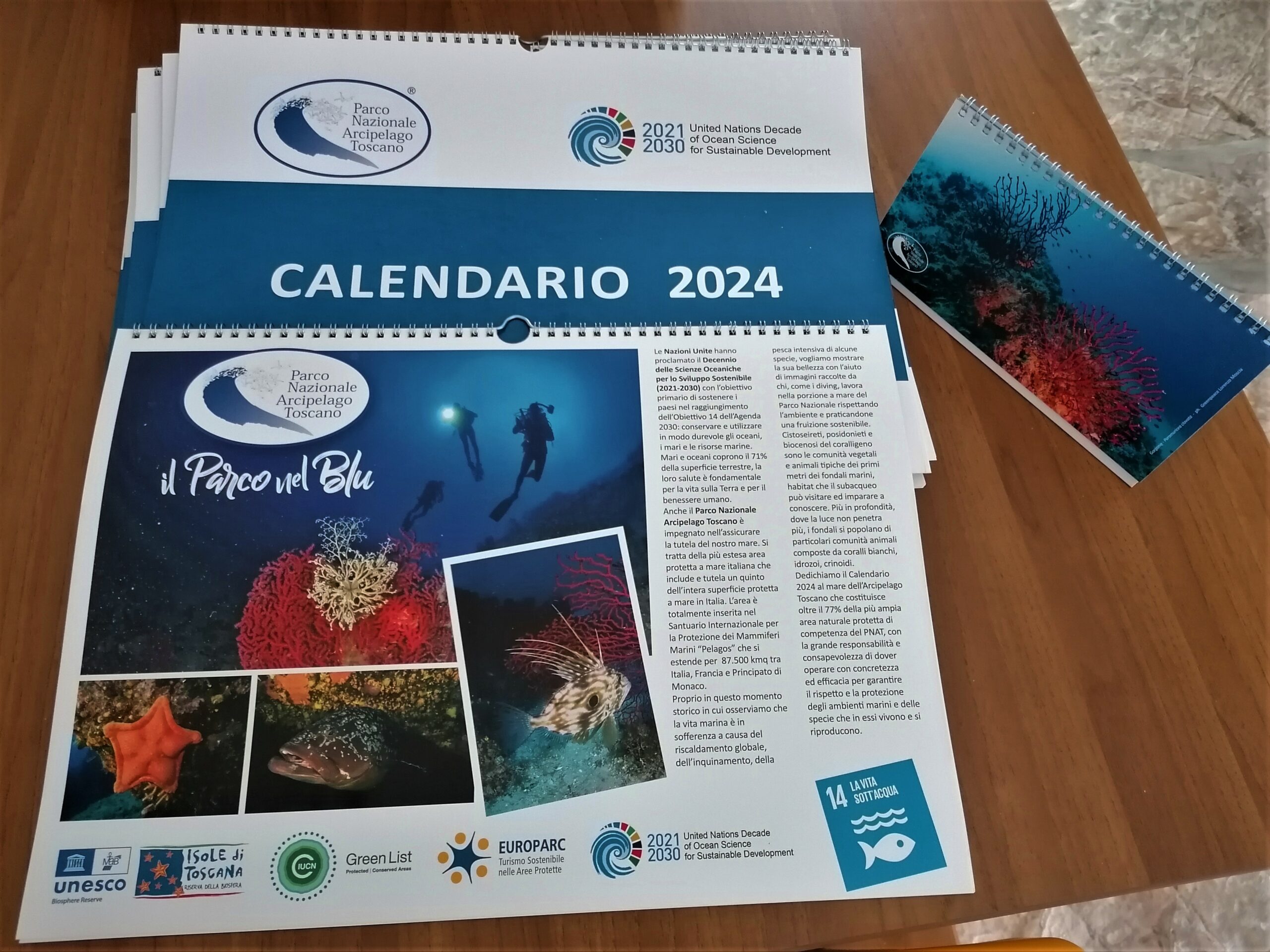 Il Calendario 2024 dedicato al mare in distribuzione gratuita