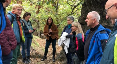 Al via i lavori di restauro ecologico e paesaggistico dei castagneti di Marciana