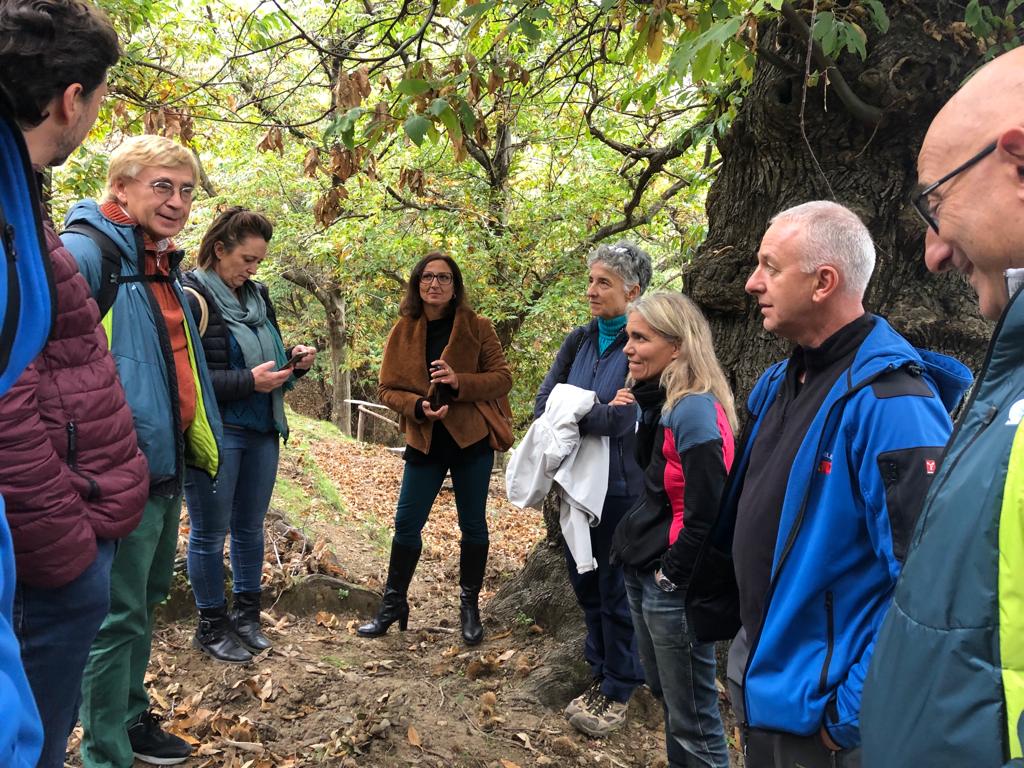 Al via i lavori di restauro ecologico e paesaggistico dei castagneti di Marciana