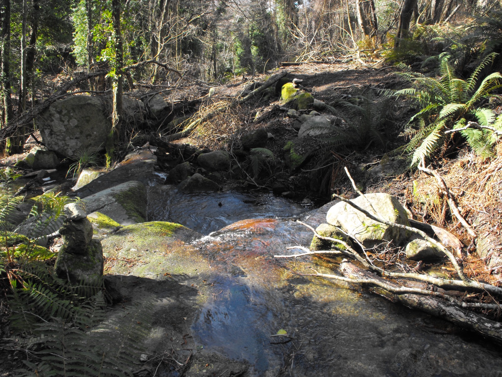 Il Progetto del Parco Nazionale per la messa in sicurezza del Fosso di Pomonte