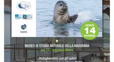 Tre fotografi alla ricerca della foca monaca nel Mar Mediterraneo