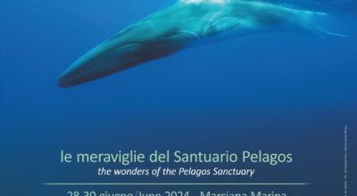 Il respiro del mare Una mostra per scoprire le meraviglie del Santuario per la Protezione dei Mammiferi Marini ‘Pelagos’