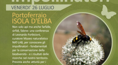 26 luglio Conoscere gli impollinatori- Festival “La natura al Centro”