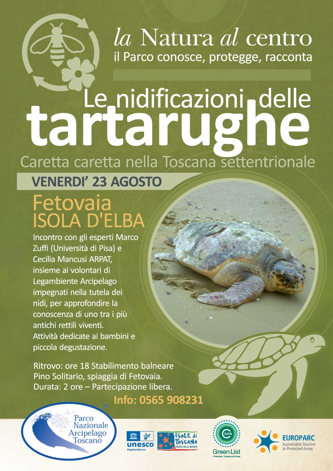 Le nidificazioni delle tartarughe Caretta caretta nella Toscana settentrionale