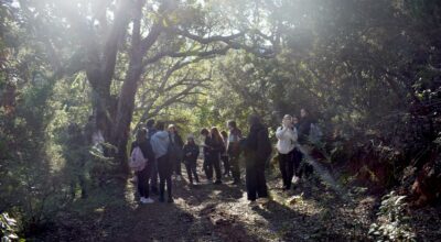 Redazione natura