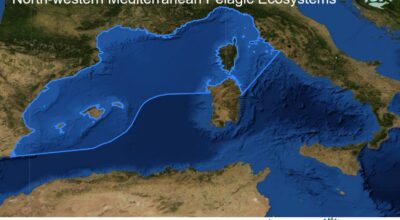 L’Arcipelago Toscano e la costa toscana tra le Aree Marine di Importanza Ecologica mondiale