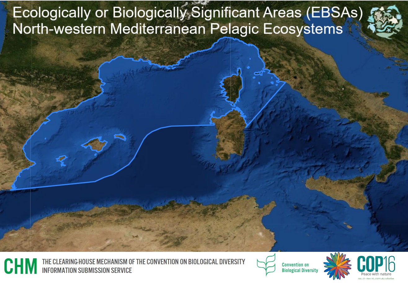 L’Arcipelago Toscano e la costa toscana tra le Aree Marine di Importanza Ecologica mondiale