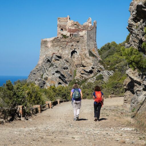 ISOLA DI GORGONA  Isola di Gorgona