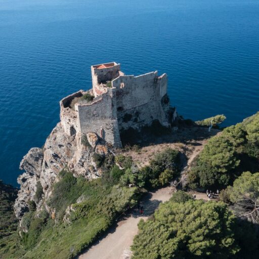 ISOLA DI GORGONA  Isola di Gorgona